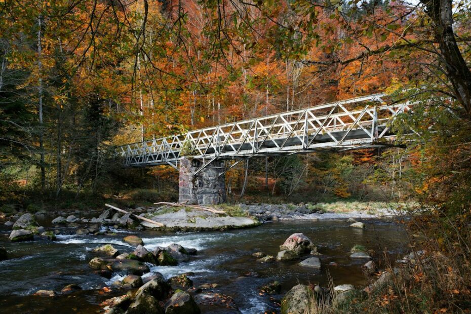 Photo bridge crane kit