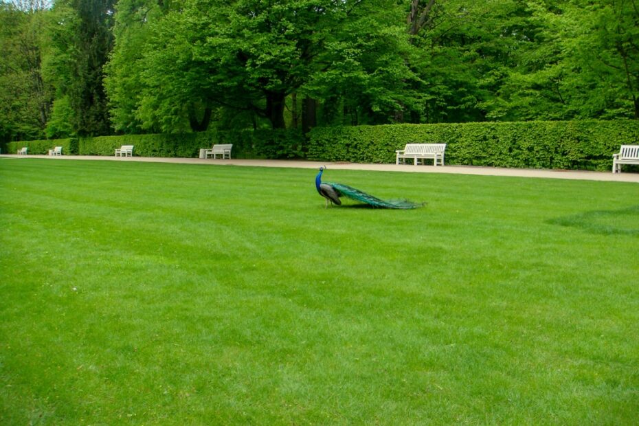 Photo Lawn mower maintenance using a chain hoist